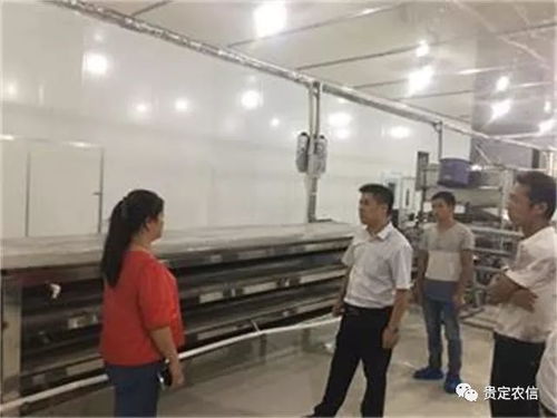 北京貴州米粉廠里的“金融夜校” 一碗粉背后的社會(huì)經(jīng)濟(jì)咨詢服務(wù)